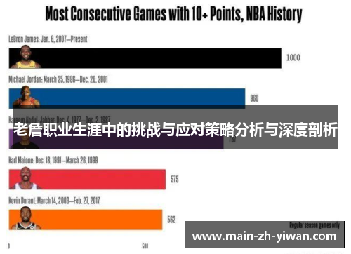 老詹职业生涯中的挑战与应对策略分析与深度剖析