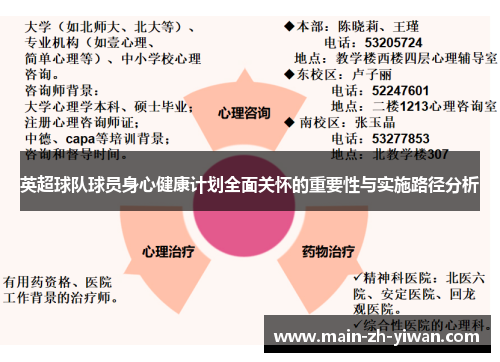 英超球队球员身心健康计划全面关怀的重要性与实施路径分析