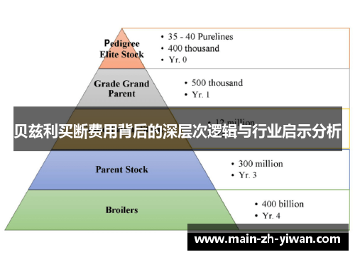贝兹利买断费用背后的深层次逻辑与行业启示分析 贝兹利买断费用背后的深层次逻辑与行业启示分析