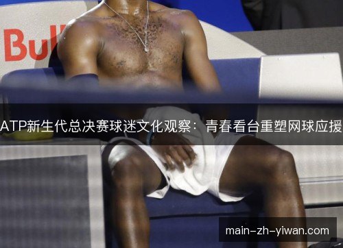ATP新生代总决赛球迷文化观察:青春看台重塑网球应援 ATP新生代总决赛球迷文化观察:青春看台重塑网球应援